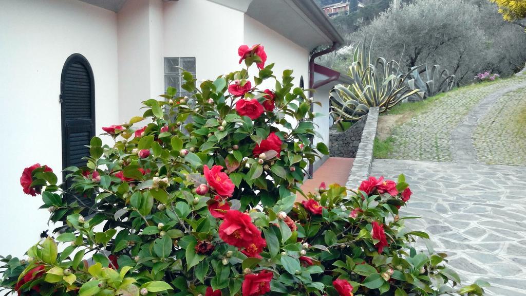 Villa Il Pettirosso ลาสเปเซีย ห้อง รูปภาพ